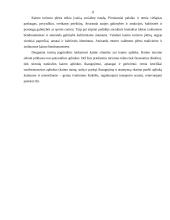 Kaimo turizmo verslo organizavimas 11 puslapis