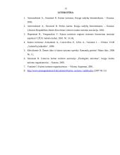 Kaimo turizmo verslo organizavimas 13 puslapis