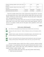 Kaimo turizmo verslo organizavimas 7 puslapis