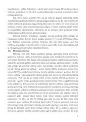 Kainodaros tikslai, politika bei antkainiai 5 puslapis