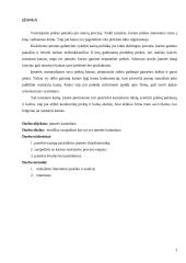 Kainos nustatymo procesas ir metodai 2 puslapis