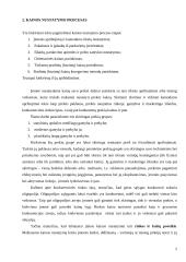 Kainos nustatymo procesas ir metodai 4 puslapis