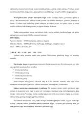 Kainos nustatymo procesas ir metodai 6 puslapis