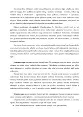 Kainos nustatymo procesas ir metodai 7 puslapis