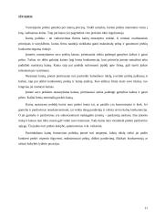 Kainos nustatymo procesas ir metodai 10 puslapis