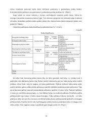 Kainodarą įtakojantys veiksniai ir jų analizė 15 puslapis