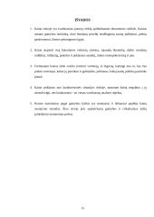 Kainodarą įtakojantys veiksniai ir jų analizė 16 puslapis