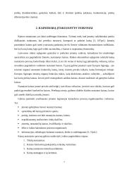 Kainodarą įtakojantys veiksniai ir jų analizė 8 puslapis