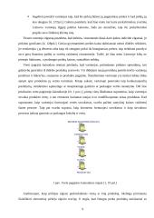 Kainodarą įtakojantys veiksniai ir jų analizė 10 puslapis