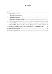 Kainodaros modeliavimas: sėklininkystė ŽŪB "Dotnuvos projektai" 2 puslapis