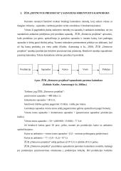 Kainodaros modeliavimas: sėklininkystė ŽŪB "Dotnuvos projektai" 15 puslapis