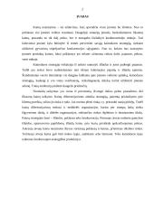 Kainų politika ir kainodaros strategija 2 puslapis