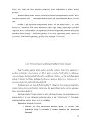 Kainų politika ir tikslai 11 puslapis