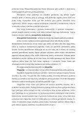 Kainų politika ir tikslai 17 puslapis