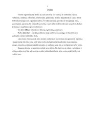 Kaip vadovauti sau pačiam 3 puslapis