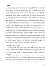 Kalba ir mąstymas 2 puslapis