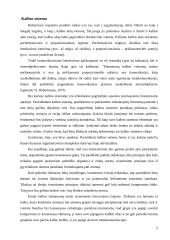 Kalba ir mąstymas 6 puslapis