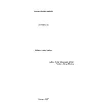 Kalbos ir raštų  klaidos