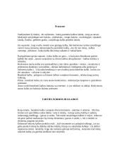 Kalbos ir raštų  klaidos 2 puslapis