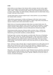 Kalbos kultūros terminas 2 puslapis