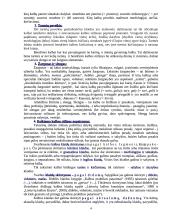 Kalbos kultūra, jos svarba 4 puslapis