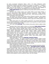 Kalbos kultūra, jos svarba 5 puslapis