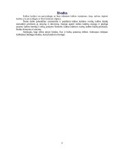 Kalbos kultūra, jos svarba 6 puslapis