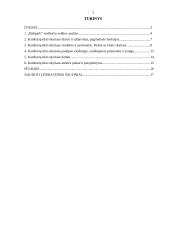 Kambarių ūkio skyriaus veiklos analizė 2 puslapis