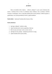 Kambarių ūkio skyriaus veiklos analizė 3 puslapis