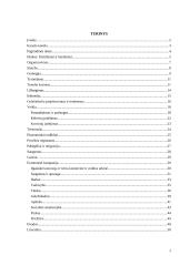 Kanalo tunelis 2 puslapis