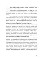 Kanalo tunelis 11 puslapis