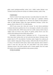 Kanalo tunelis 12 puslapis