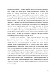 Kanalo tunelis 14 puslapis