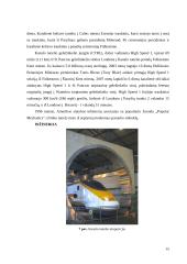 Kanalo tunelis 16 puslapis