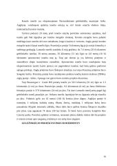 Kanalo tunelis 17 puslapis