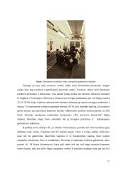 Kanalo tunelis 18 puslapis