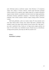 Kanalo tunelis 19 puslapis