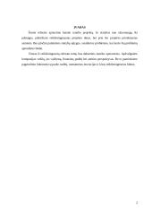 Kanalo tunelis 3 puslapis