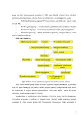 Kanalo tunelis 8 puslapis