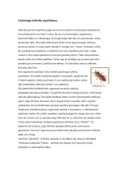 Kanibalizmas gyvūnų pasaulyje 6 puslapis