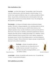 Kanibalizmas gyvūnų pasaulyje 7 puslapis