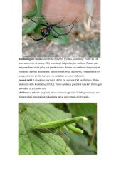 Kanibalizmas gyvūnų pasaulyje 8 puslapis