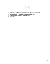 Kapitalo rinkos finansinių instrumentų analizė 11 puslapis