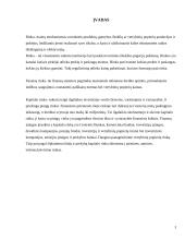 Kapitalo rinkos finansinių instrumentų analizė 3 puslapis