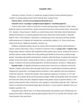Kapitalo rinkos finansinių instrumentų analizė 4 puslapis