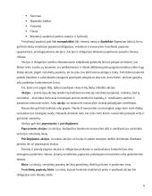 Kapitalo rinkos finansinių instrumentų analizė 6 puslapis
