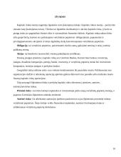 Kapitalo rinkos finansinių instrumentų analizė 10 puslapis