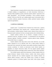 Kapitalo srautų reguliavimas 2 puslapis