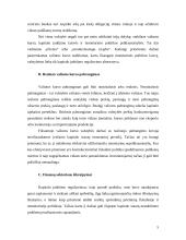 Kapitalo srautų reguliavimas 5 puslapis