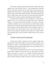 Kapitalo srautų reguliavimas 6 puslapis